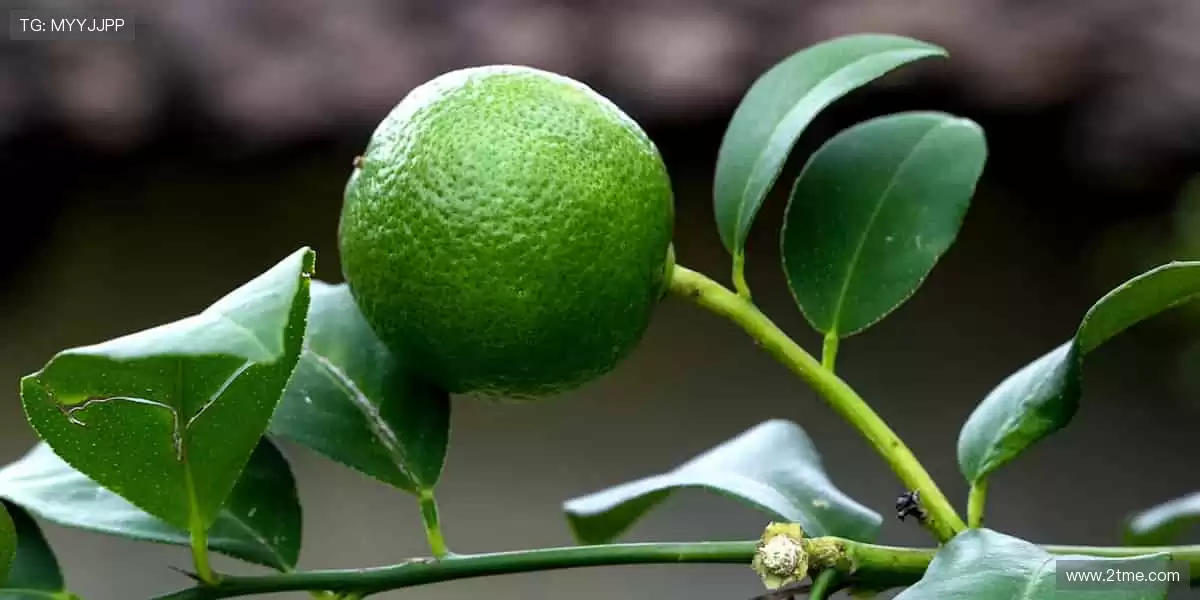 🚀⚾️ 赛事巅峰,热血沸腾!